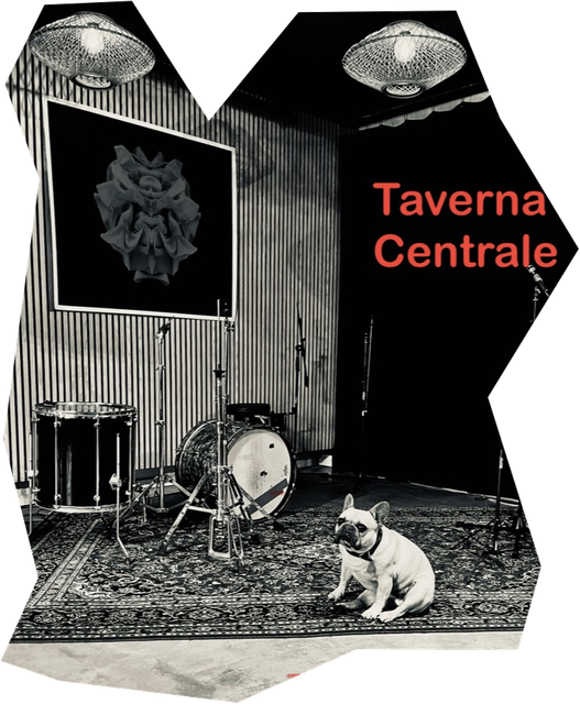 Spillerummet i Taverna Centrale — trommesæt, tæppe og husets hund